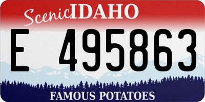 ID license plate E495863