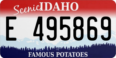 ID license plate E495869