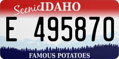 ID license plate E495870