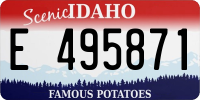 ID license plate E495871