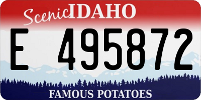 ID license plate E495872