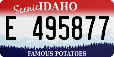 ID license plate E495877
