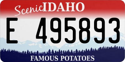 ID license plate E495893