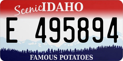 ID license plate E495894