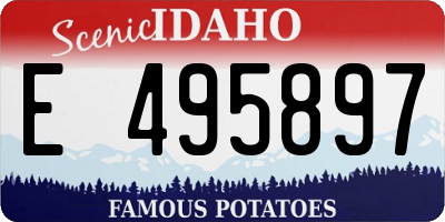 ID license plate E495897