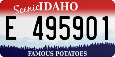 ID license plate E495901