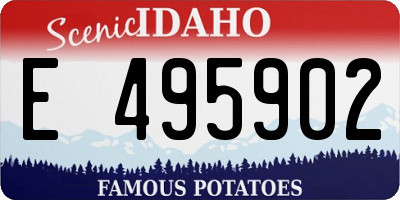 ID license plate E495902