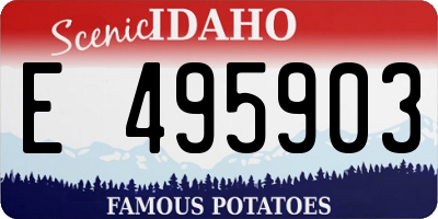 ID license plate E495903