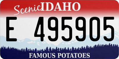 ID license plate E495905