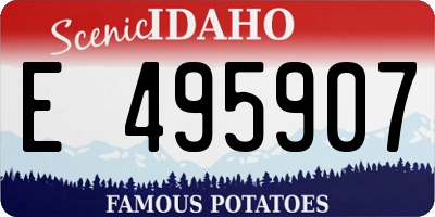 ID license plate E495907