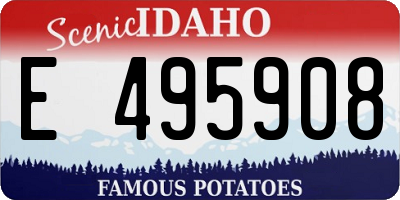 ID license plate E495908