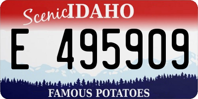 ID license plate E495909