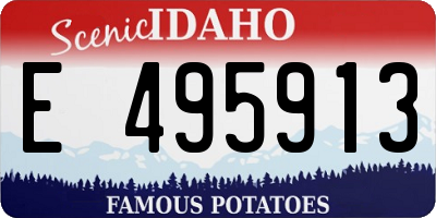 ID license plate E495913