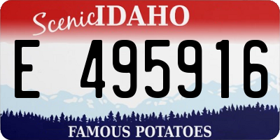 ID license plate E495916