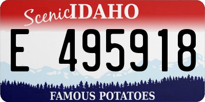 ID license plate E495918