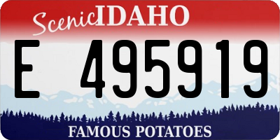 ID license plate E495919