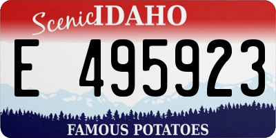 ID license plate E495923