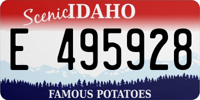 ID license plate E495928