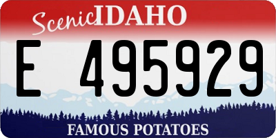 ID license plate E495929