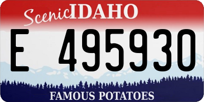 ID license plate E495930