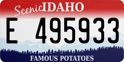 ID license plate E495933