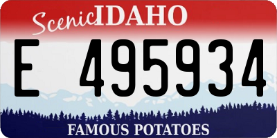 ID license plate E495934