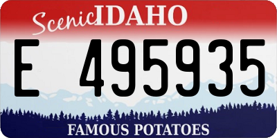 ID license plate E495935