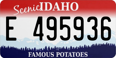 ID license plate E495936