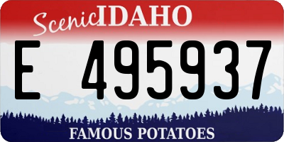ID license plate E495937