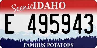 ID license plate E495943