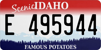 ID license plate E495944
