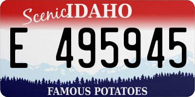 ID license plate E495945
