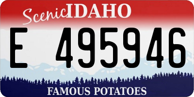 ID license plate E495946