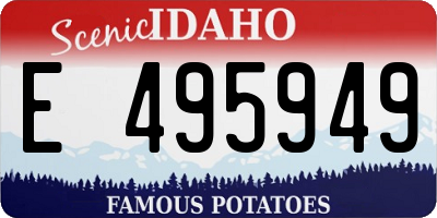 ID license plate E495949