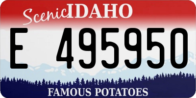 ID license plate E495950