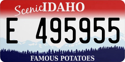 ID license plate E495955