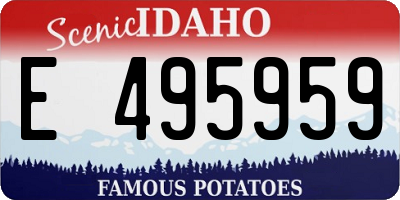 ID license plate E495959