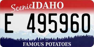 ID license plate E495960