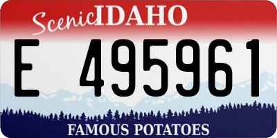 ID license plate E495961