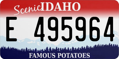 ID license plate E495964