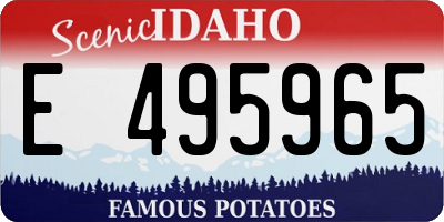 ID license plate E495965