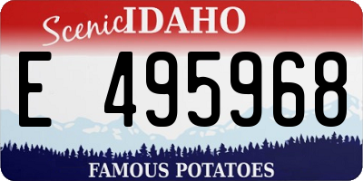 ID license plate E495968