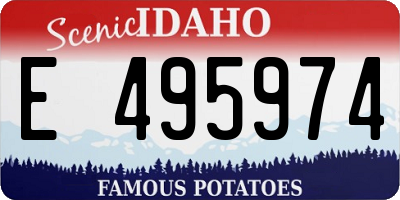 ID license plate E495974