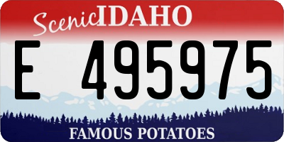 ID license plate E495975