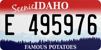 ID license plate E495976