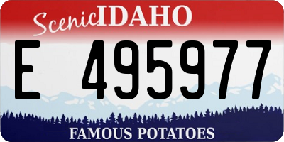 ID license plate E495977