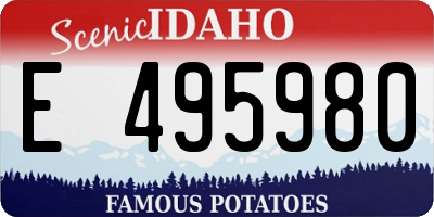 ID license plate E495980