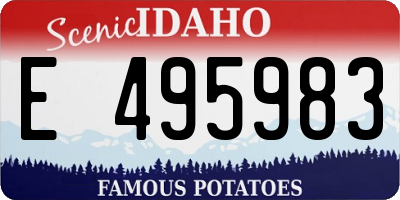 ID license plate E495983