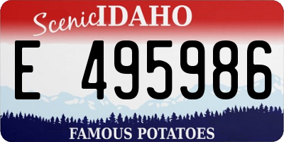 ID license plate E495986