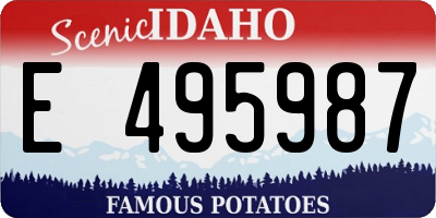 ID license plate E495987